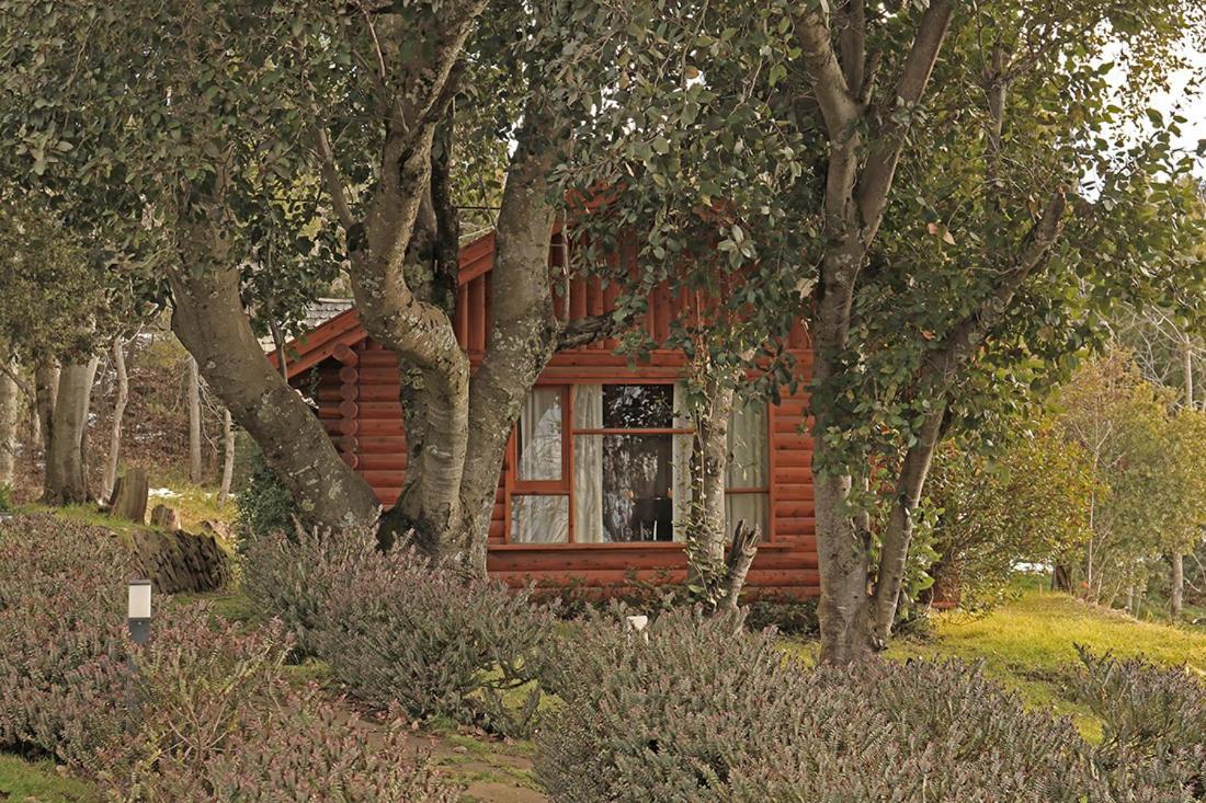 Monasterio Hotel Boutique San Carlos de Bariloche Esterno foto